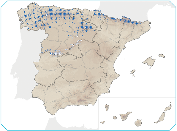 Mapa Distribución