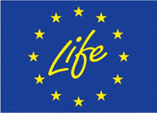 logo Life+