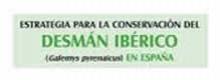 Estrategia para la conservación del desmán ibérico en España