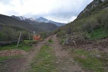 Construcción pista forestal al lado del río Carrión