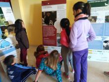 Escolares visitando la exposición en Gargantilla