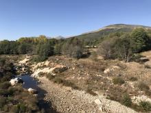 Estaquillados y plantaciones