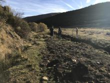 Restauración arroyo Hontanillas